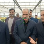 تولیدات آنتوریوم آمل دربازار جهانی