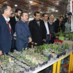افتتاح نمایشگاه کشوری گل و گیاهان زینتی در آمل