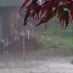 چگونگی وضع هوا تا سه روز آینده