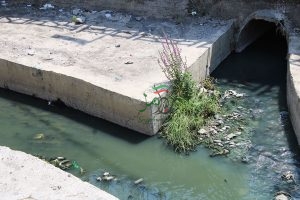 فاجعه زیست محیطی از چهارسوی خزر