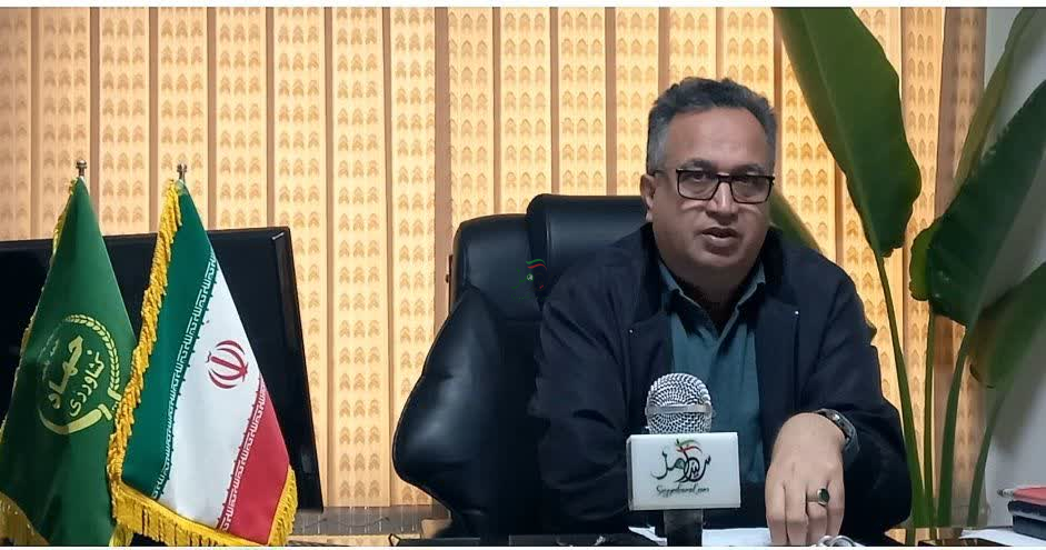 تعادل بازارباتوزیع کالاهای اساسی