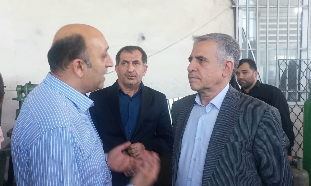 حمایت ازتولیدبرق تا لیزینگ