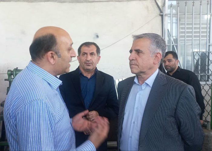حمایت ازتولیدبرق تا لیزینگ