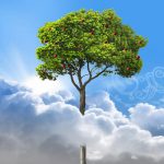 وقف عبادت ویژه ای که برروی جهنم پل میزند