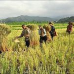 توصیه‌های هواشناسی کشاورزی تا ۹تیربه تفکیک استان