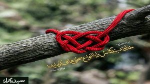 و تو ای انسان "هر چه بمیری ،باز هستی"