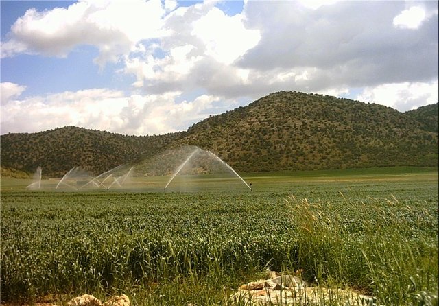 اگر بهره‌وری آب کشاورزی بهتر نشود مردم ایران آواره می‌شوند