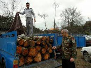 سرهنگ “نعمت الله آزادی”خبر داد