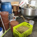 مواد غذایی و عوامل بیماری زا