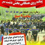 پیاده روی همگانی بخش دشت سر +پوستر