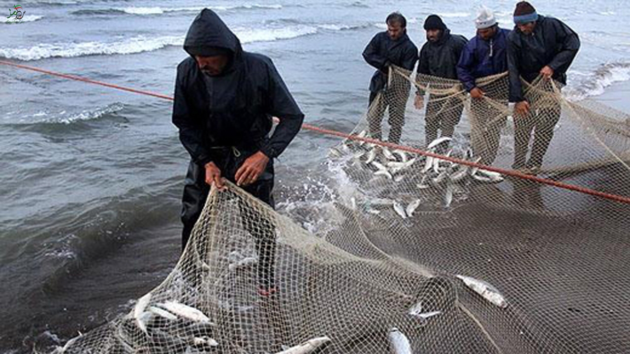 کاهش ۴۵ درصدی صید ماهی در مازندران