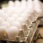 واردات تخم مرغ بیشتر می شود