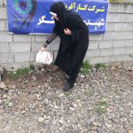 مشارکت در درختکاری
