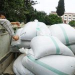 خرید تضمینی کلزا در شهرستان آمل