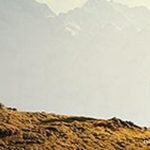 آسیب جدی به دامنه دماوند