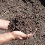 احیای خاک با طلای کثیف