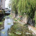 فاجعه زیست محیطی از چهارسوی خزر