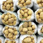 نرخ مصوب سیب زمینی