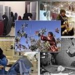 مدیر جهاد کشاورزی شهرستان آمل گفت: