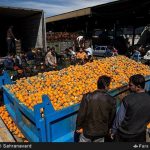 کشف 65 تن پرتقال فاسد