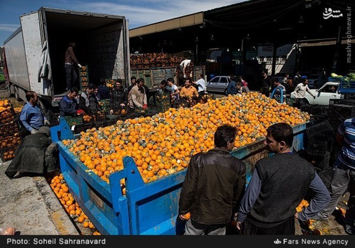 کشف 65 تن پرتقال فاسد