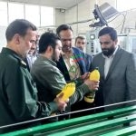 قطع ید دلالان با هدفمندی یارانه ها