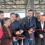 تولیدفیله ماهی درآمل