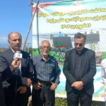 پوست اندازی کشاورزی مازندران